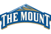Mount St. Mary's logo